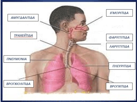 Λοιμώξεις αναπνευστικού - Πνευμονολόγος Χανιά 