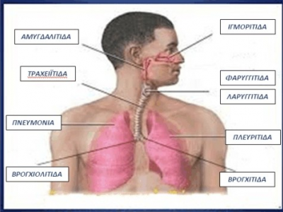 ΚΥΡΙΕΣ ΛΟΙΜΩΞΕΙΣ ΑΝΑΠΝΕΥΣΤΙΚΟΥ